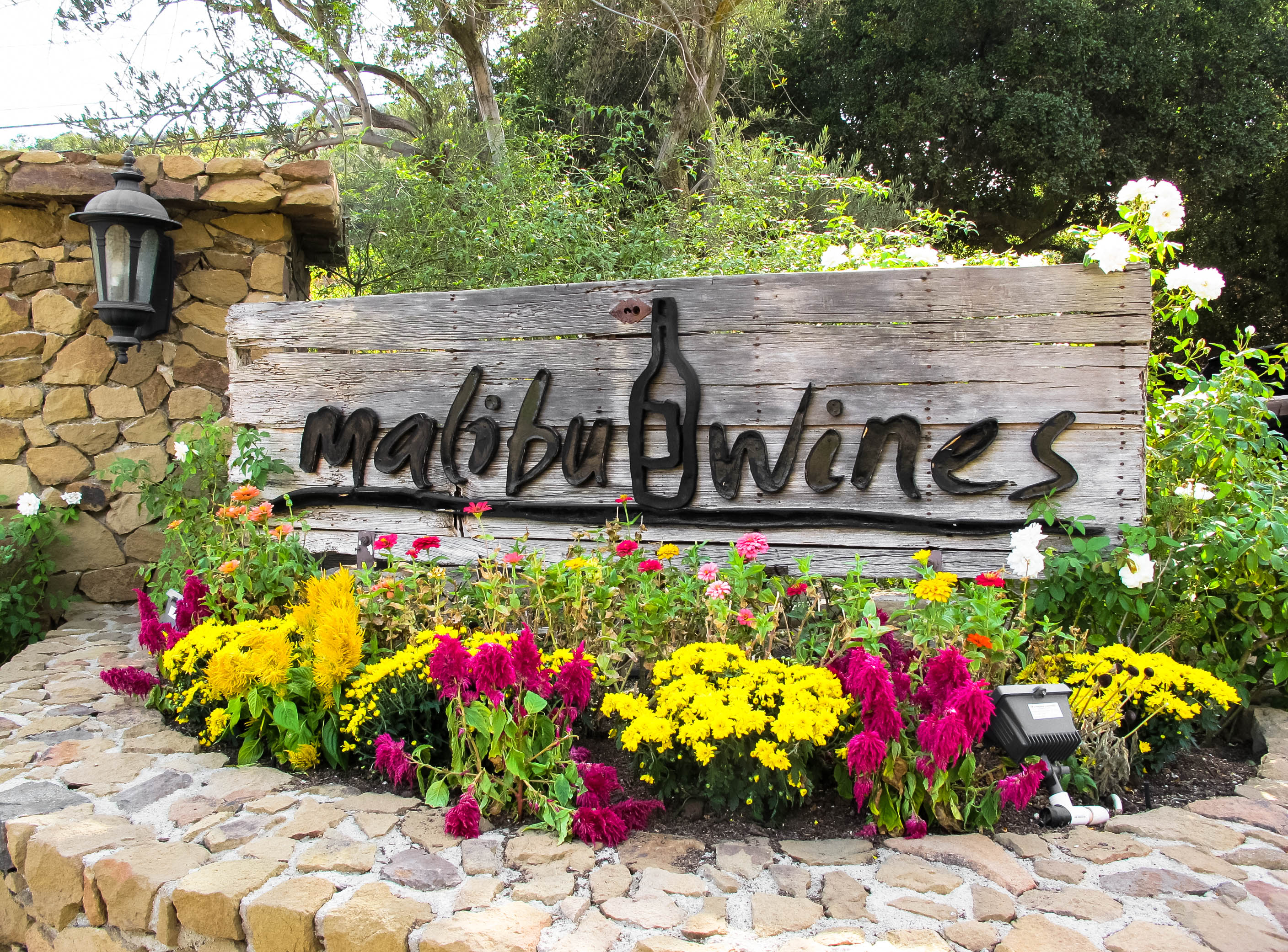 malibu wines and beer garden
